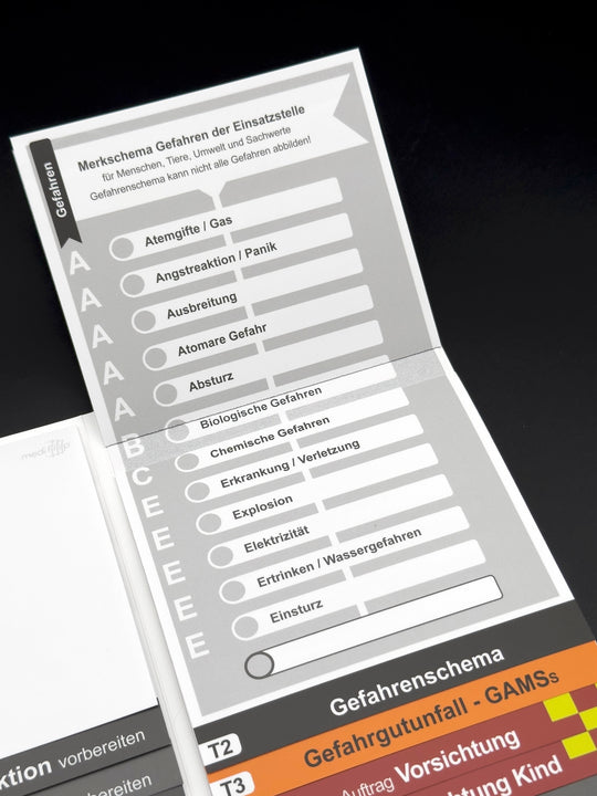 Mediflip Notfallmedizin Basic Gefahrenschema AAAAABCEEEEE